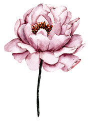 Dusty pink flower peony watercolor, floral clip art. Perfectly for printing design on invitations, cards, wall art and other. Isolated on white background. Hand painting.
