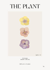 The plant. Autumn flower market poster. Herbarium