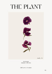 The plant. Autumn flower market poster. Herbarium