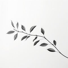 black and white photo of a plant branch with leaves minimalist photography