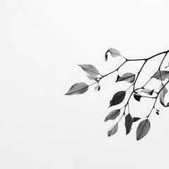 black and white photo of a plant branch with leaves minimalist photography