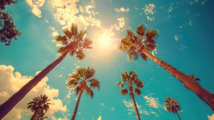 Sunny LA: Vintage Low Angle Shot of Palm Trees Against Blue Sky Background