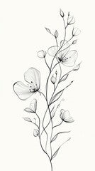 Delicate black and white floral line art illustration