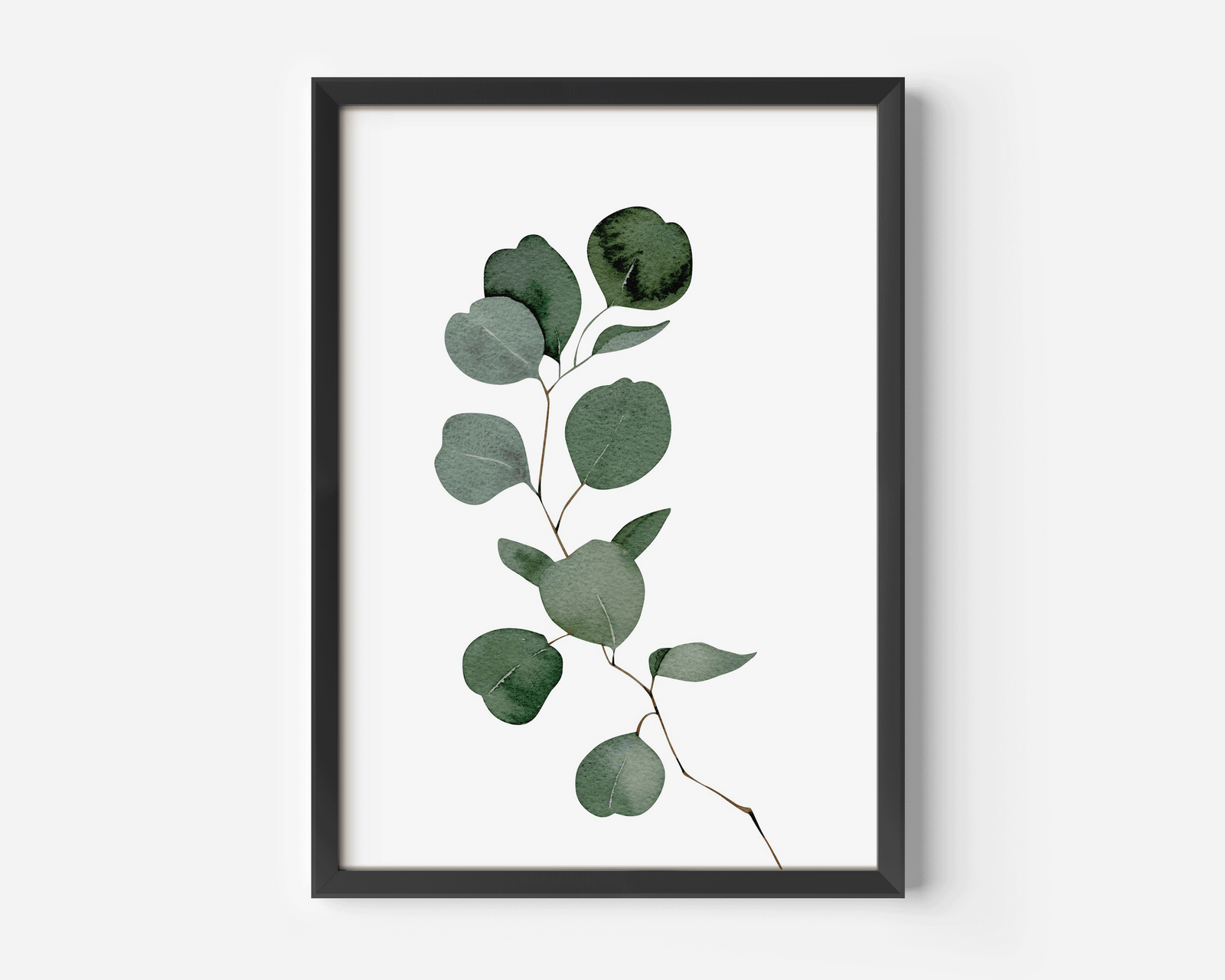 Watercolour eucalyptus wall art in a black frame with green silver-dollar leaves