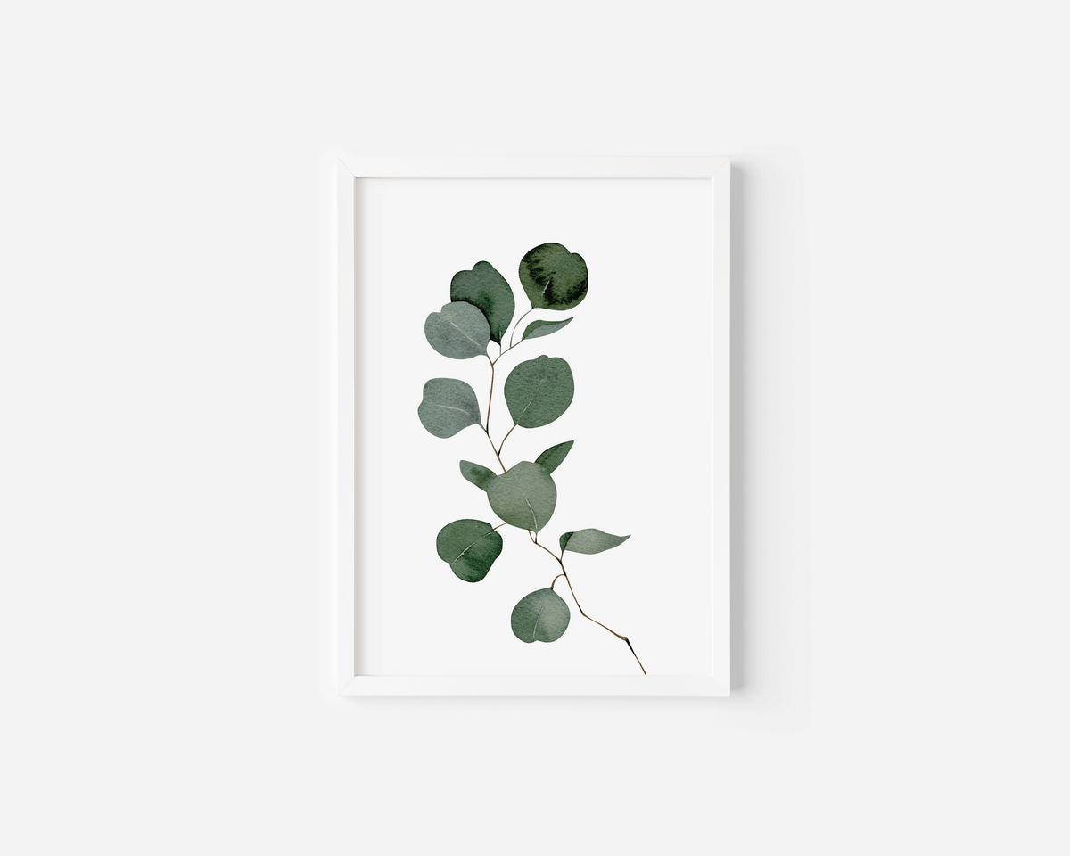 Watercolour eucalyptus wall art in a white frame with green silver-dollar leaves