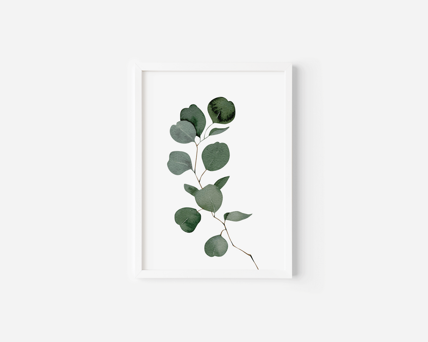 Watercolour eucalyptus wall art in a white frame with green silver-dollar leaves