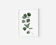 Watercolour eucalyptus wall art in a white frame with green silver-dollar leaves