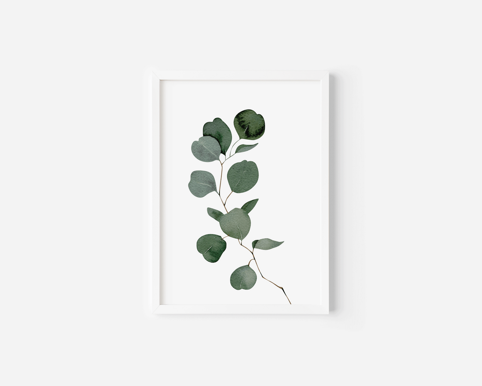 Watercolour eucalyptus wall art in a white frame with green silver-dollar leaves