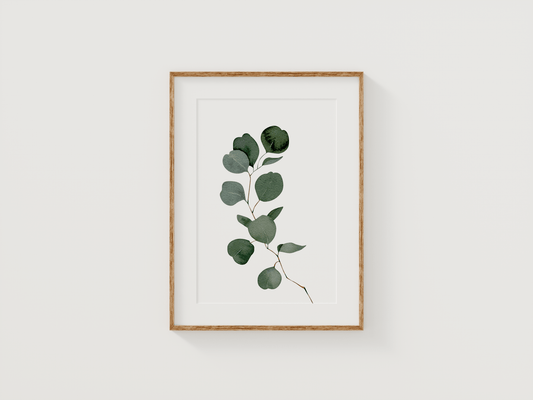 Eucalyptus Wall Art | Canvas Art, Art Prints & Framed Canvas - Buy Wall Art