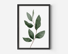 Green leaf wall art in a black frame, watercolour botanical branch in soft green tones