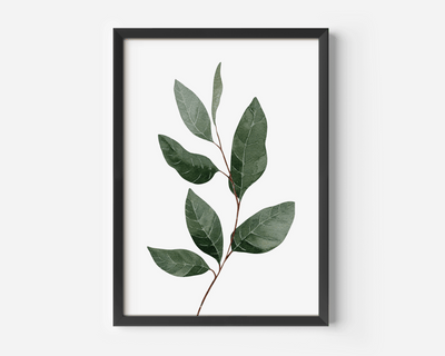 Green leaf wall art in a black frame, watercolour botanical branch in soft green tones