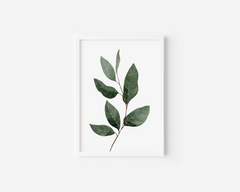 Green leaf wall art in a white frame, watercolour botanical branch with veined leaves