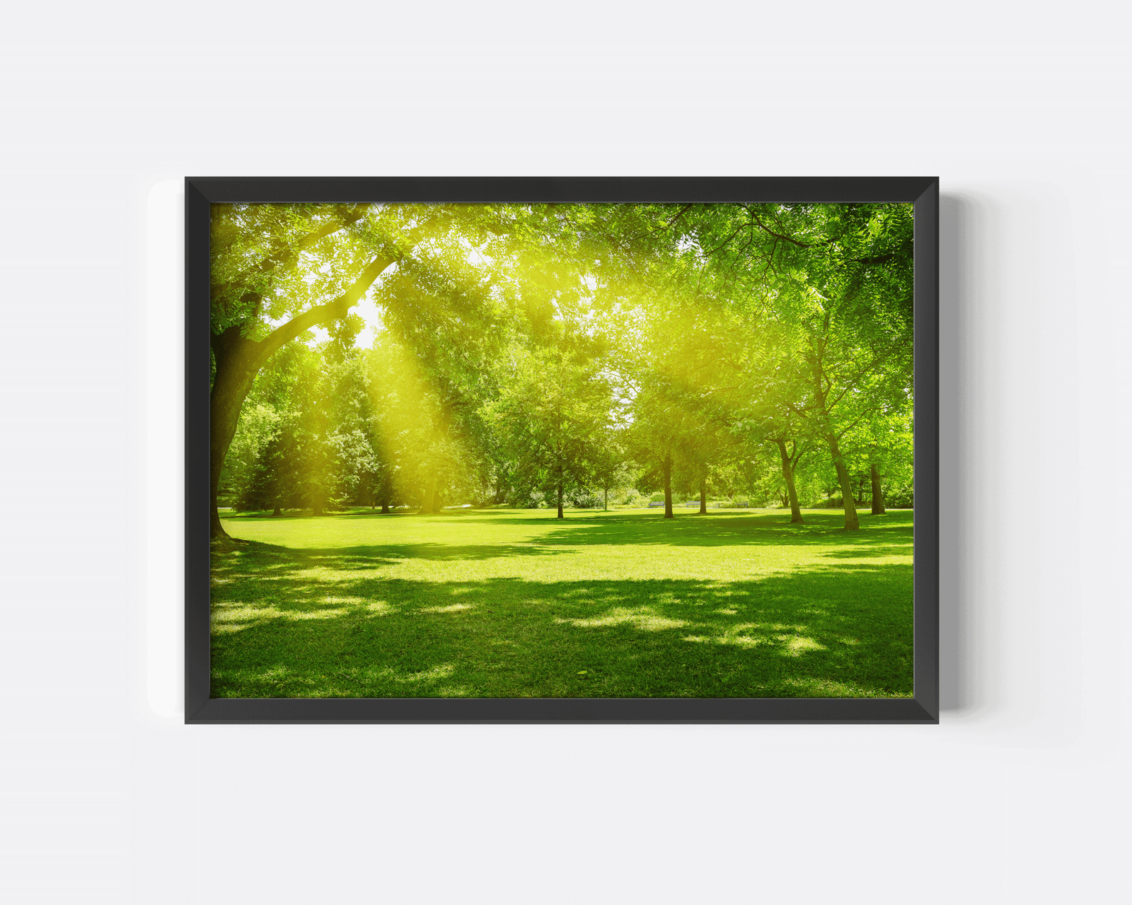 Bright forest sunlight wall print with black frame, lush green landscape photography featuring sunbeams through trees for modern natural home wall art
