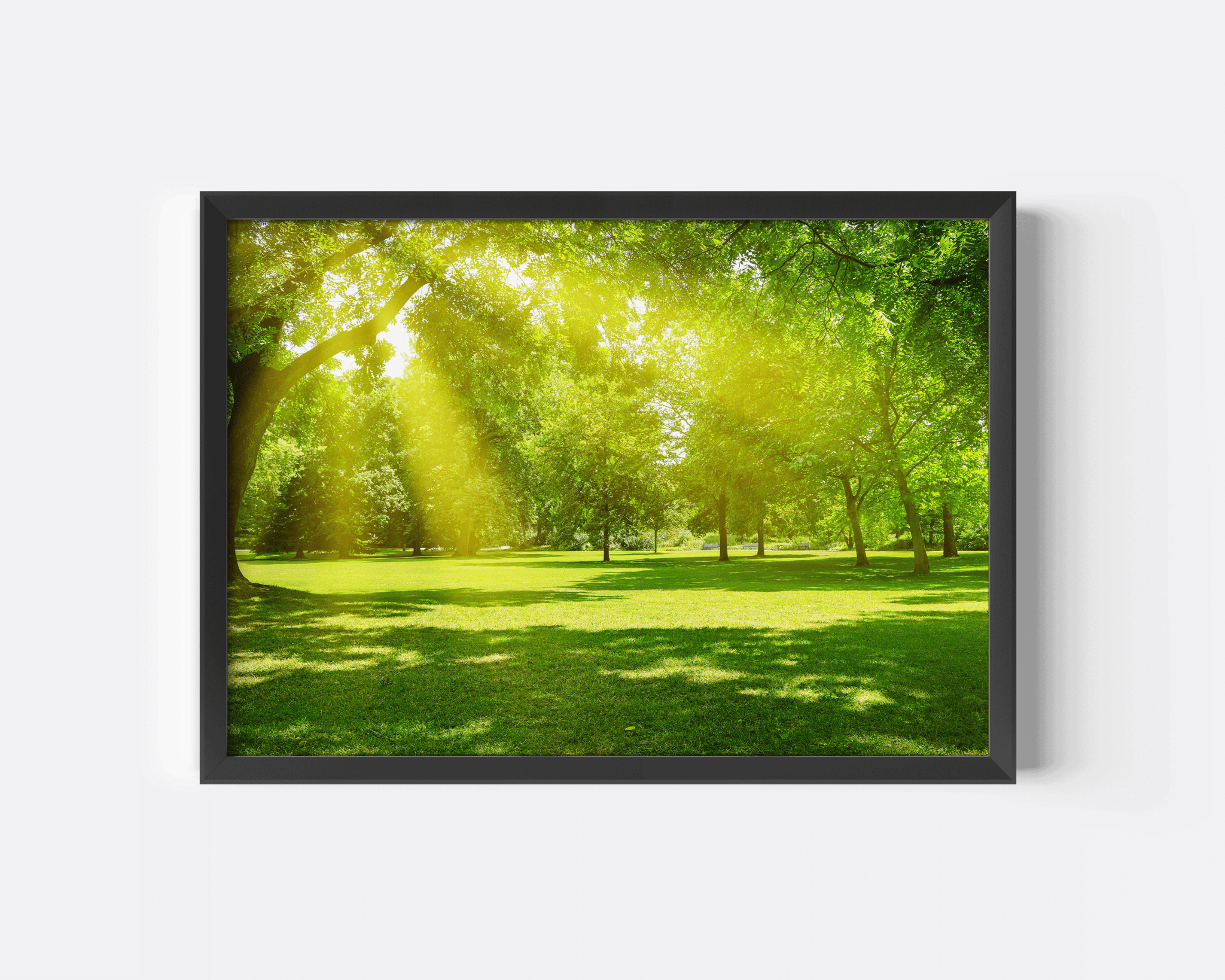 Bright forest sunlight wall print with black frame, lush green landscape photography featuring sunbeams through trees for modern natural home wall art