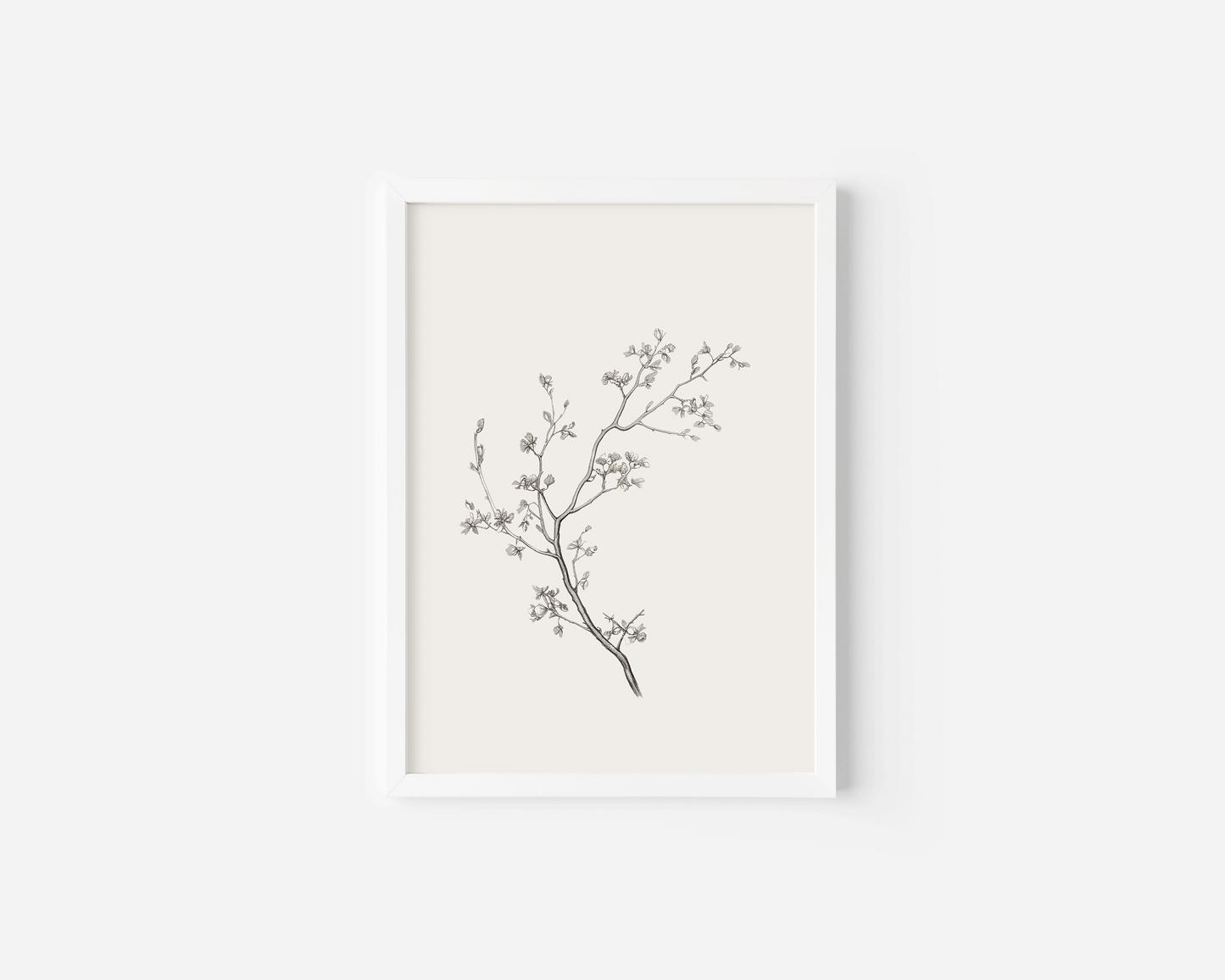 White-framed canvas wall art print of a minimal black branch with small flowers on a white background