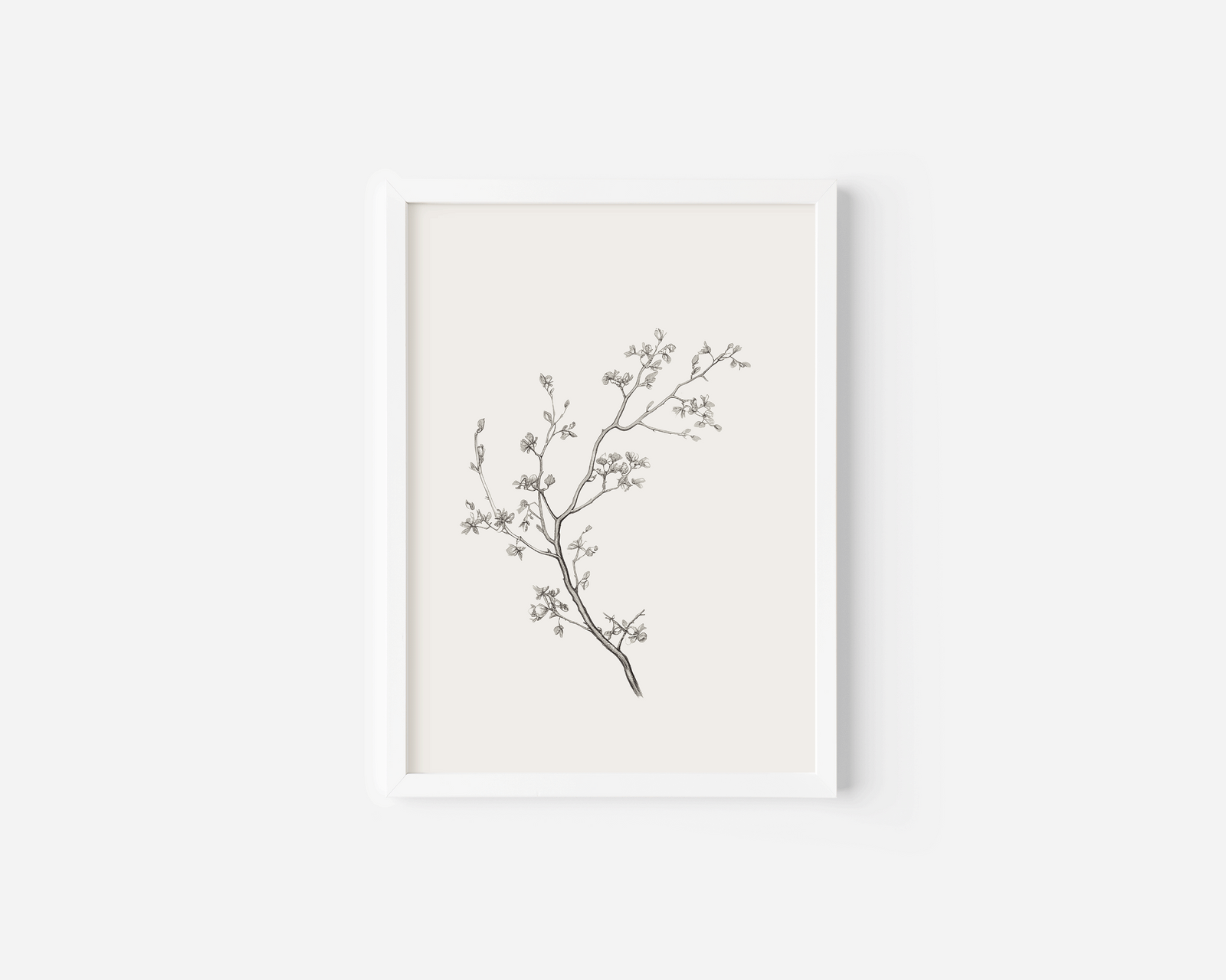 White-framed canvas wall art print of a minimal black branch with small flowers on a white background