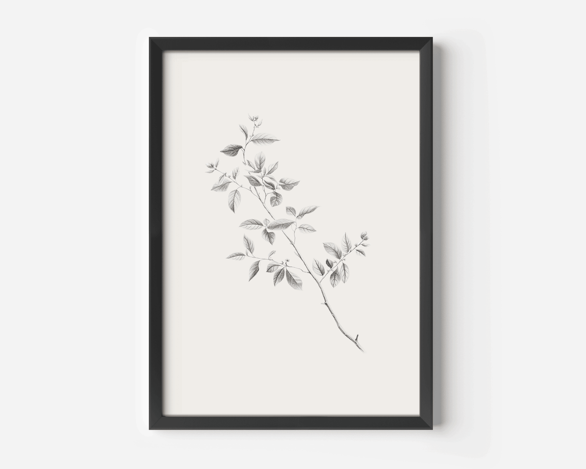 Large minimalist botanical line sketch wall art in black wood frame with beige and grey shadows and leaves on branches