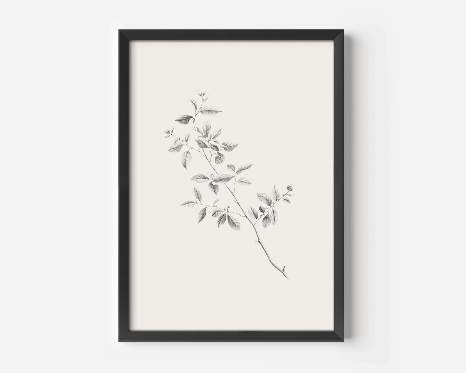 Large minimalist botanical line sketch wall art in black wood frame with beige and grey shadows and leaves on branches