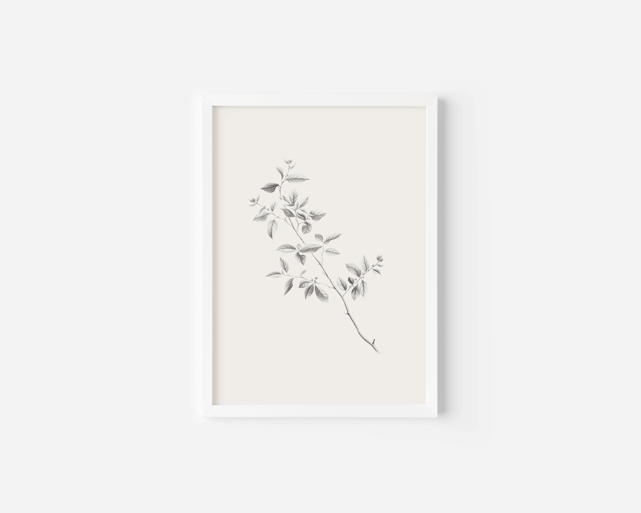 Minimalist Botanical Vintage Print | Canvas Art, Art Prints & Framed Canvas - Buy Wall Art