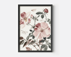 Black-framed pink rose and butterfly nursery print on a white background