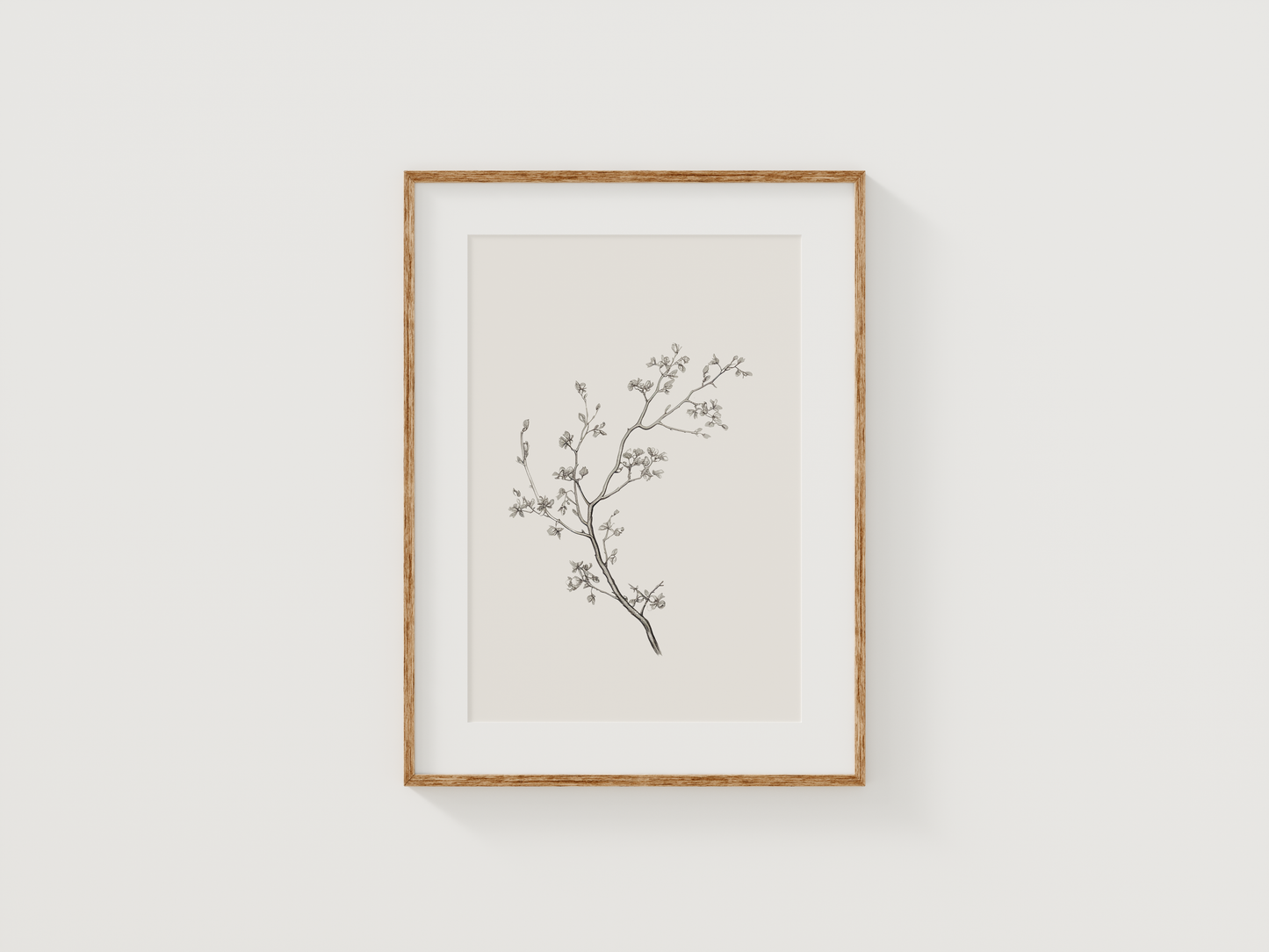 Vintage Botanical Print | Canvas Art, Art Prints & Framed Canvas