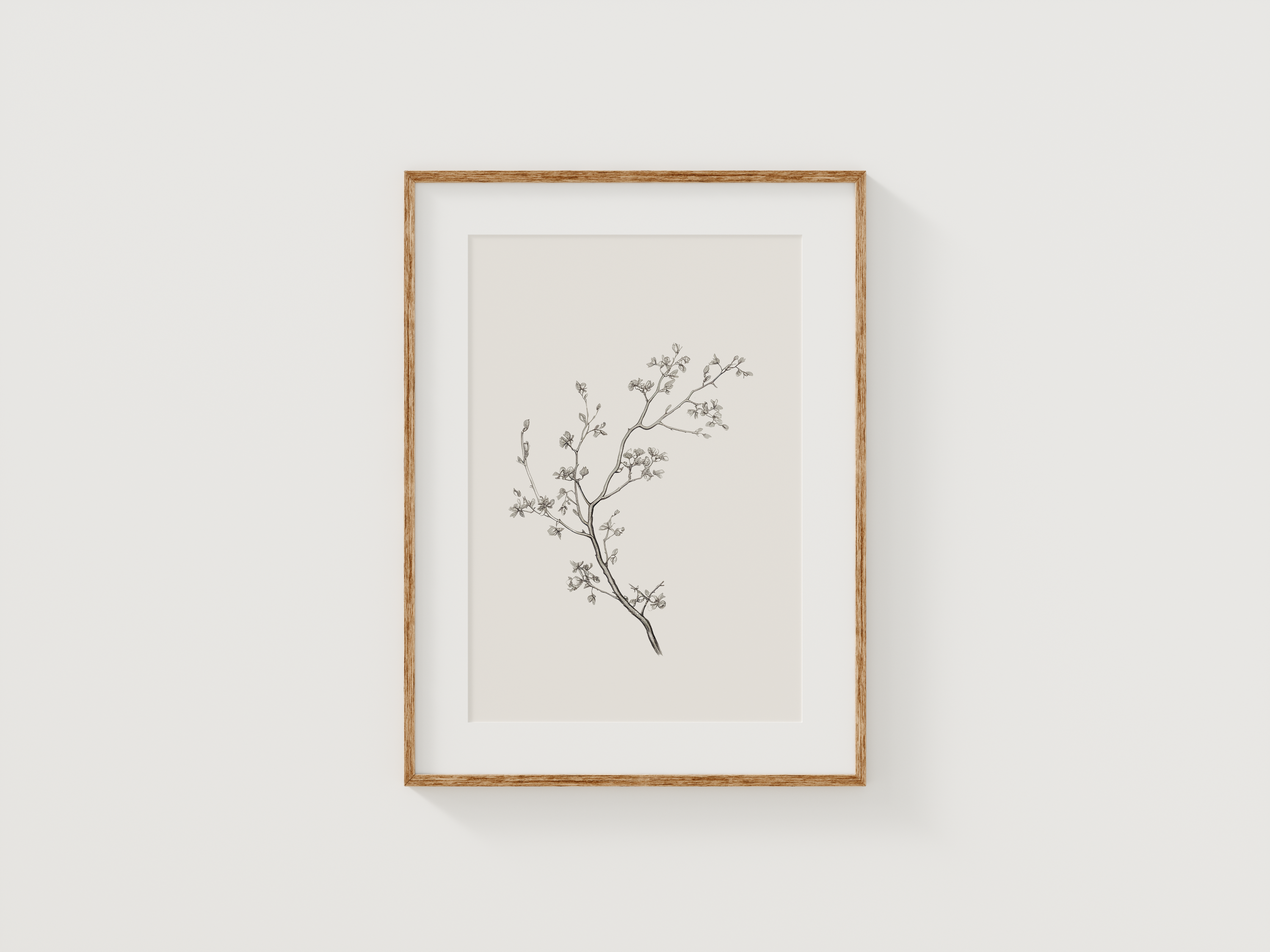 Vintage Botanical Print | Canvas Art, Art Prints & Framed Canvas