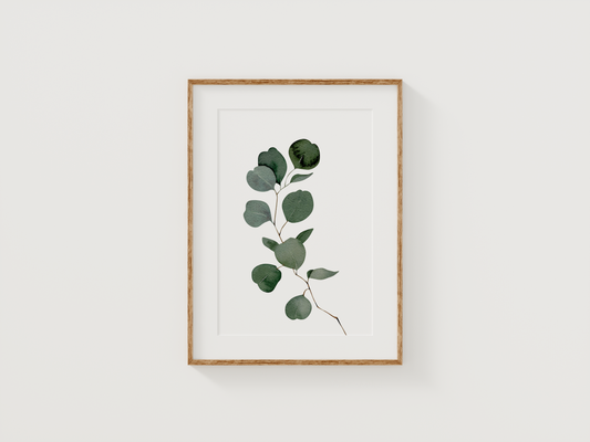 Eucalyptus Wall Art | Canvas Art, Art Prints & Framed Canvas