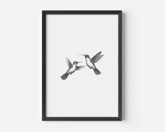 Minimal black and white hummingbird sketch in a matte black frame on a white background