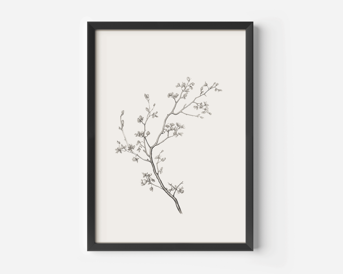 Black-framed wall art print of a black and white minimal branch sketch on a white background