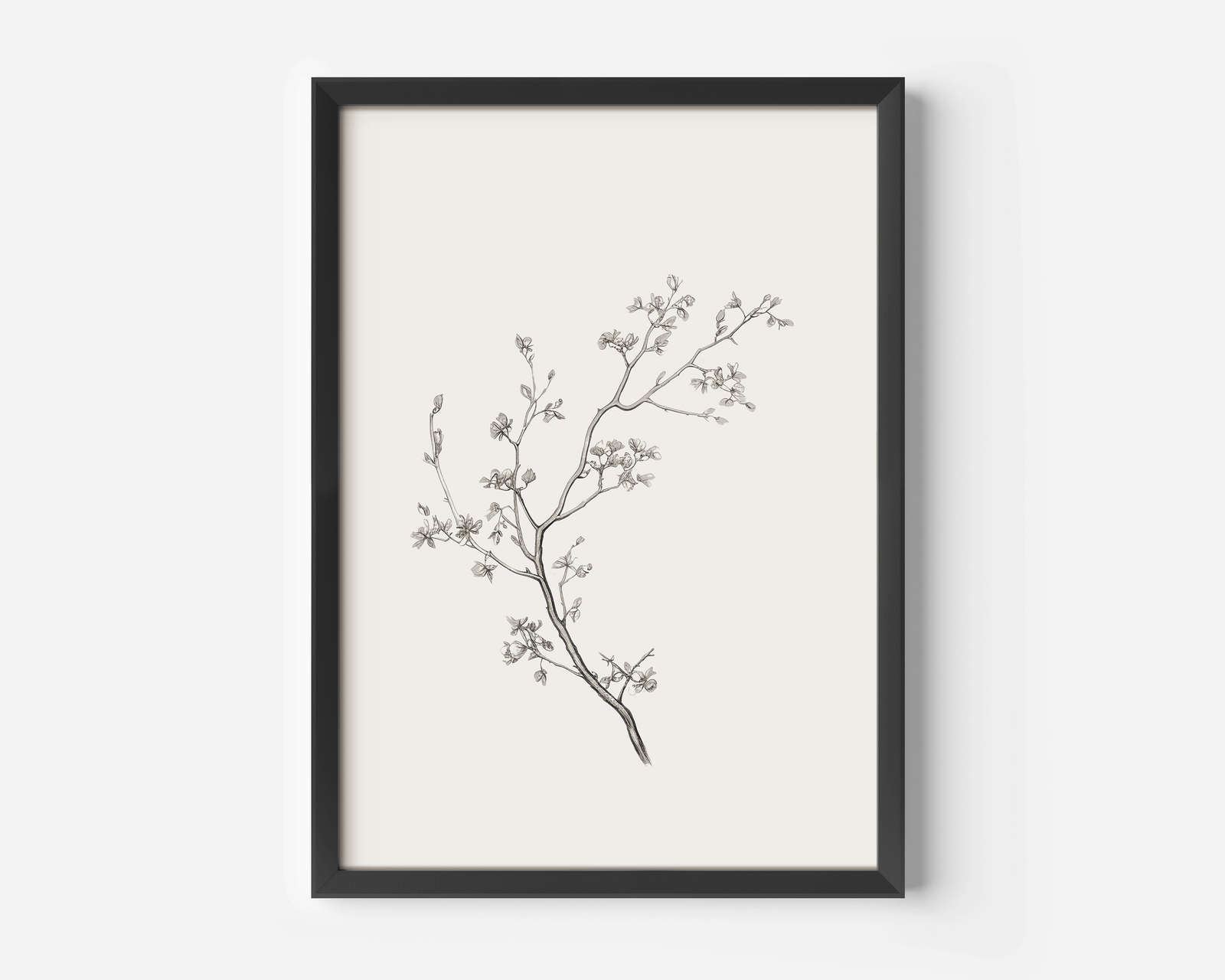 Black-framed wall art print of a black and white minimal branch sketch on a white background