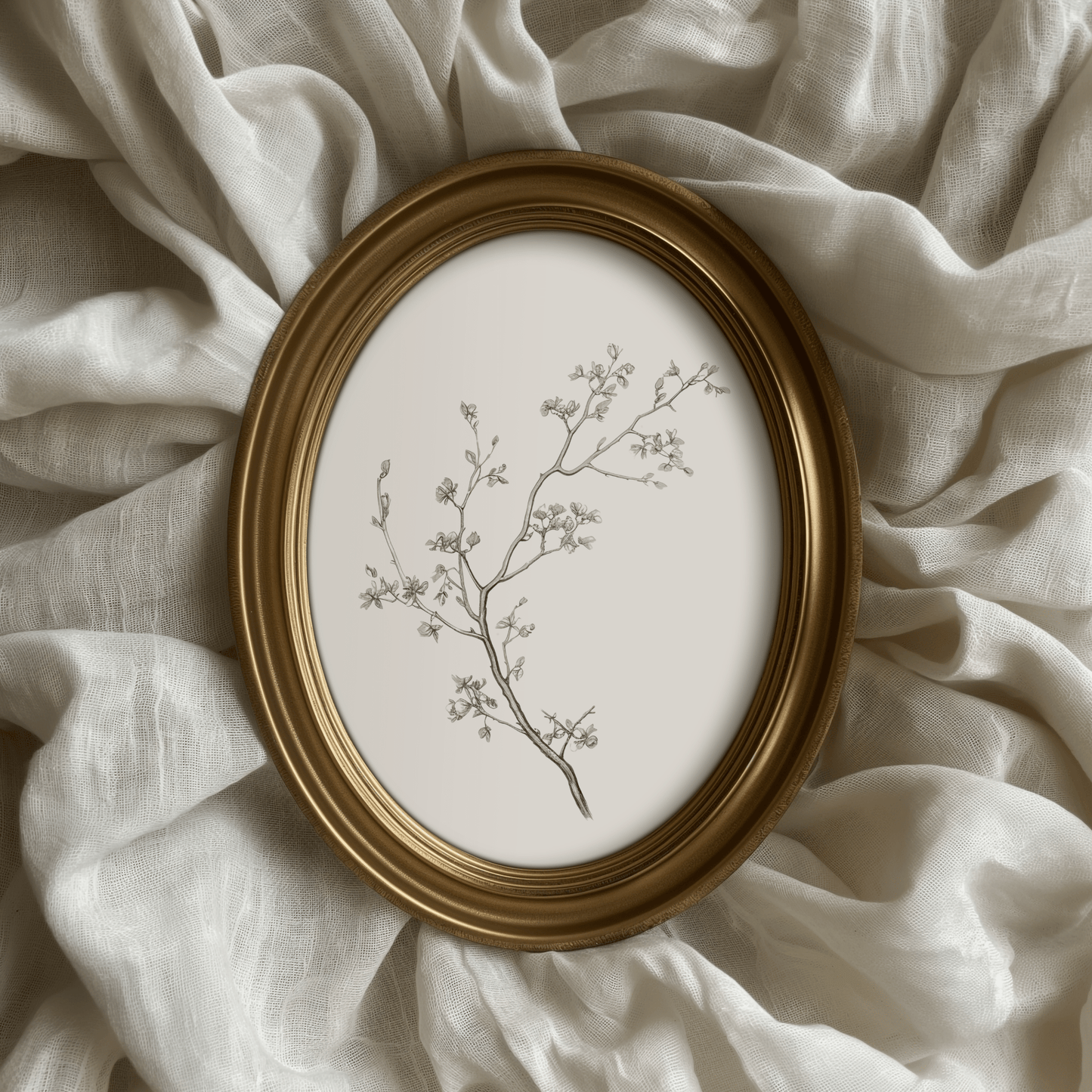 Vintage Botanical Print | Canvas Art, Art Prints & Framed Canvas - Buy Wall Art