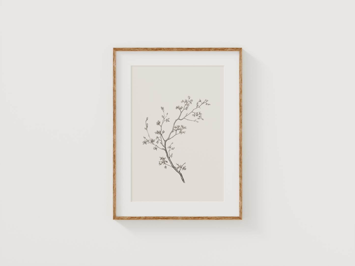 Vintage Botanical Print | Canvas Art, Art Prints & Framed Canvas - Buy Wall Art