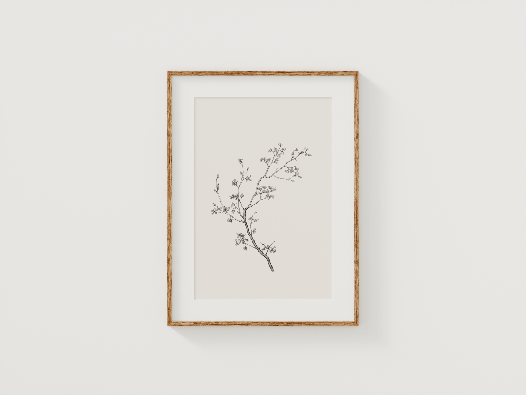 Vintage Botanical Print | Canvas Art, Art Prints & Framed Canvas - Buy Wall Art