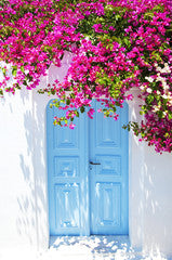 Old blue door and pink flowers, traditional Greek architecture, Santorini island, Greece. Beautiful details of the island of Santorini, white houses, blue doors and shutters, the Aegean Sea.