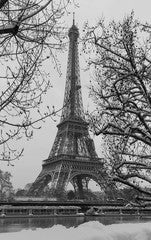 The black and white Eiffel tower with bare trees in winter, Paris, France.