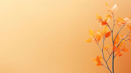 a minimalist autumn background with copy space