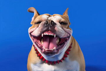 "A Bulldog with loose skin and round eyes adds humor to the image."
