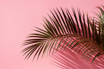 .Palm leaf on a pink background. Summer. barbiecore