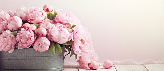 Pink peony flowers in a metal bucket in a shabby chic interior