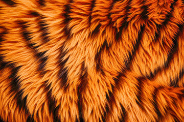A close-up of a tiger's fur, revealing its intricate striped pattern and textured details against a wild background.