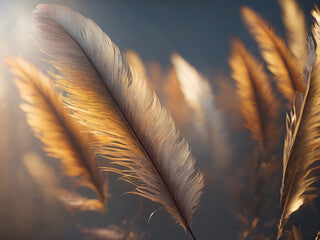 3D high quality feathers,Fire Feather Stock Photo,Peacock quill pen a vibrant, elegant decoration