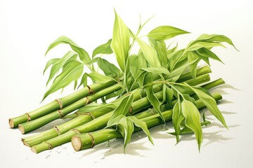 Bamboo Zen